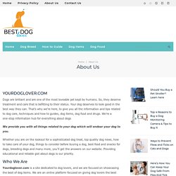 Best Dog Products Information in USA