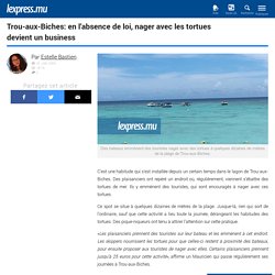 Trou-aux-Biches: en l’absence de loi, nager avec les tortues devient un business