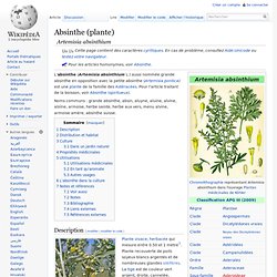 Absinthe (plante)