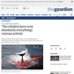 'The whalers have won absolutely everything': veteran activist