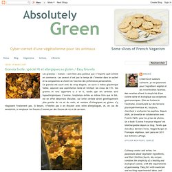 Granola facile, spécial IG et allergiques au gluten / Easy Granola