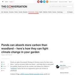 Ponds can absorb more carbon than woodland – here's how they can fight climate change in your garden