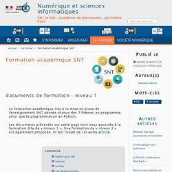 Formation académique SNT