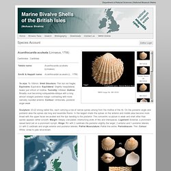 Marine Bivalve Shells of the British Isles