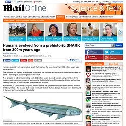 Acanthodes bronni: Humans evolved from a prehistoric SHARK from 300m years ago