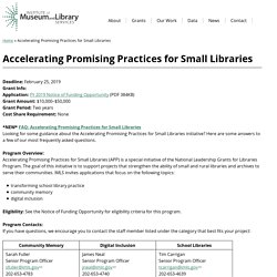 Accelerating Promising Practices for Small Libraries