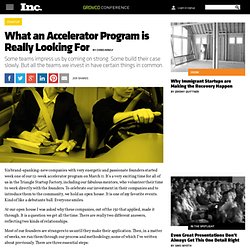 What an Accelerator Program is Really Looking For