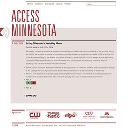 Saving Minnesota’s Vanishing Moose