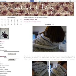 Tricot XIII - l'accessoire de novembre