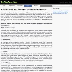 Get The Best Electric Fence Energizer
