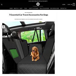 7 Essential Car Travel Accessories For Dogs