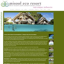 accommodation: misool eco resort, raja ampat, indonesia