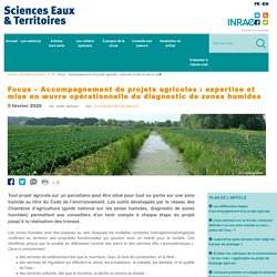 Accompagnement Projets agricoles Expertise Diagnostic Zones humides