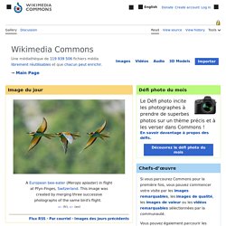 wikimedia commons médiathèque de fichiers média Librement réutilisables