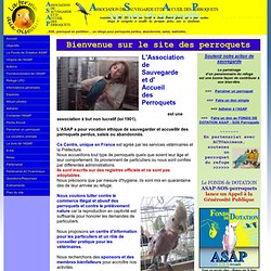ASAP : association de sauvegarde des perroquets