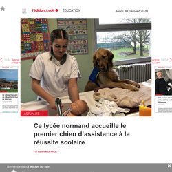 Ce lycée normand accueille le premier chien d’assistance à la réussite scolaire - Edition du soir Ouest France - 30/01/2020