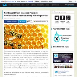 New Harvard Study Measures Pesticide Accumulation In Bee Hive Honey: Alarming Results