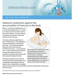 Selenium: protection against the accumulation of mercury in the body - Seleniumfacts