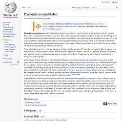 Dynamic accumulator