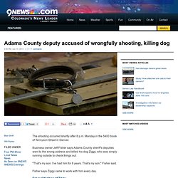 Adams County deputy accused of wrongfully shooting, killing dog