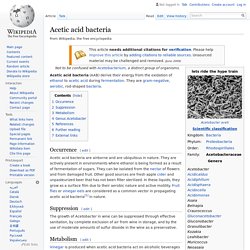 Acetic acid bacteria
