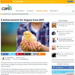 5 Achievements For Vegans From 2017
