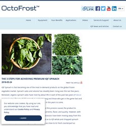 The 3 Steps for Achieving Premium IQF Spinach