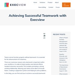 Achieving Successful Teamwork with Execview - Execview