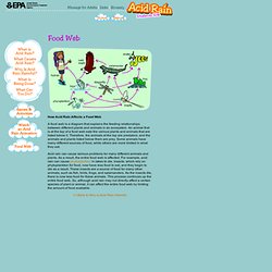 Acid rain kaykubat Biology Diagrams