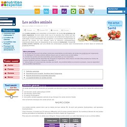 Les acides aminés - Nutrition-expertise.fr