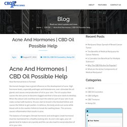 CBD Oil Possible Help