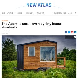 The Acorn is small, even by tiny house standards