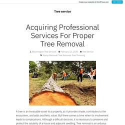 Acquiring Professional Services For Proper Tree Removal