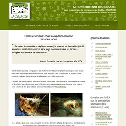 ACRACQ - Chats et chiens: chair à expérimentation dans les labos