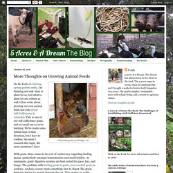 5 Acres & A Dream: More Thoughts on Growing Animal Feeds