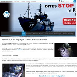 Action ALF en Espagne : 1000 animaux sauvés