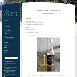 Intra-science - Action du vinaigre sur un oeuf cru - détails