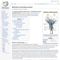 Reticular activating system