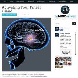 Activating Your Pineal Gland
