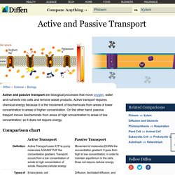 Active and Passive Transport