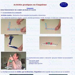 activités pratiques 5eme (a)