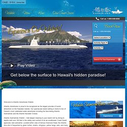 Atlantis Submarines Oahu - Submarine Tours in Waikiki - Waikiki Activities