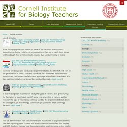 Labs & Activities - Cornell Institute for Biology Teachers
