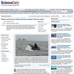 Whales and human-related activities overlap in African waters