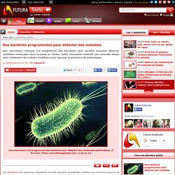 Des bactéries programmées pour détecter des maladies