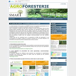 Actualités Casdar SMART / Agroforesterie Maraichère