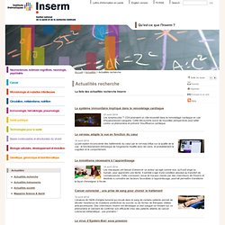 INSERM - actualités Recherche