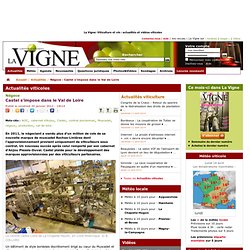 Négoce : Castel s'impose dans le Val de Loire