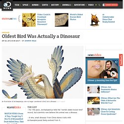 Oldest Bird Was Actually a Dinosaur