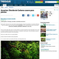 (47) Acuarios: Dioxido de Carbono casero para plantas